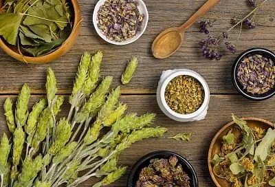 Почему важно всегда иметь дома запас трав, способствующих оттоку желчи