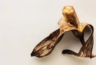 Не мусор это, а «золото»: какие кухонные отходы можно превратить в отличные бесплатные удобрения для почвы