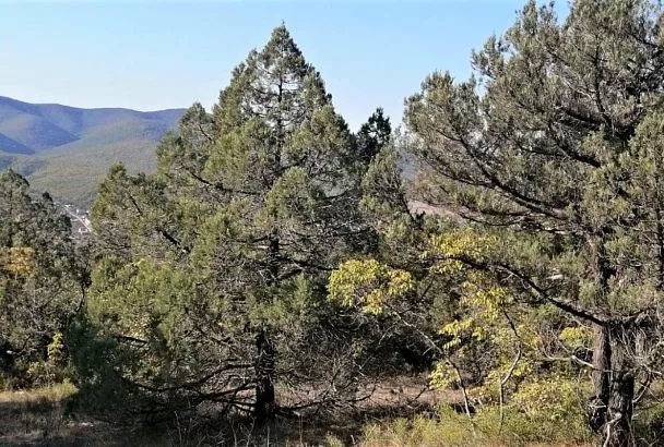 Заповедные места Краснодарского края: что изменилось за последние 10 лет