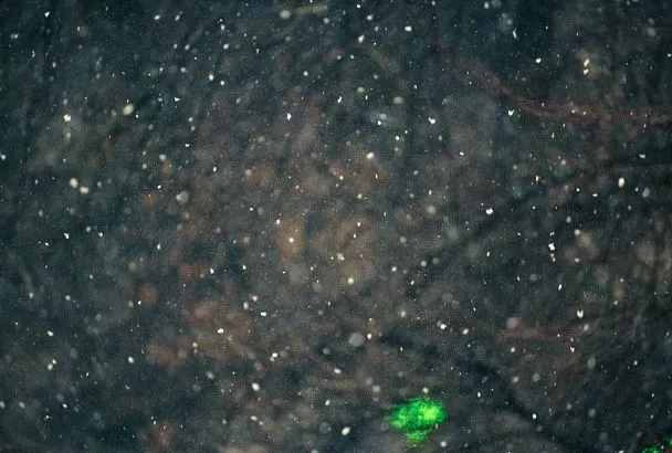 Нелетная погода: аэропорт Краснодара из-за снегопада приостановил обслуживание рейсов