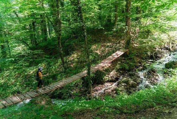 Первые экотропы сезона открылись на территории горного курорта под Сочи