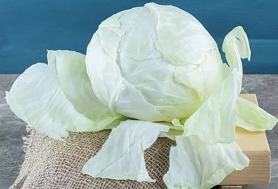 Ленивые голубцы по‑кубански: готовим за 10 минут — вкусно и быстро