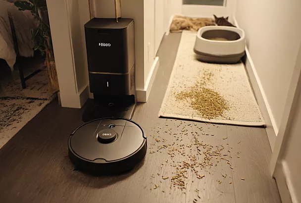 Как поддерживать чистоту в квартире с четырьмя кошками: мой простой ежедневный ритуал