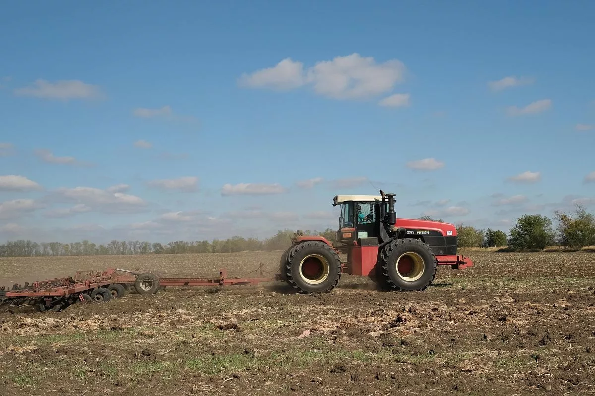 Процесс культивации очень важен - это и рыхление, и выравнивание почвы, и срез сорняков. Процесс культивации очень важен - это и рыхление, и выравнивание почвы, и срез сорняков.