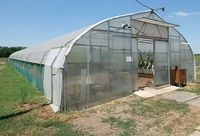 В теплице все посчитано: здесь логистика прямо пропорциональна урожаю