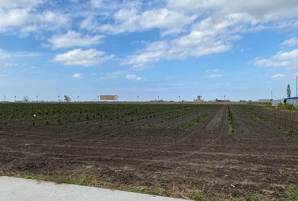 Ейский винзавод расширил емкостный парк 