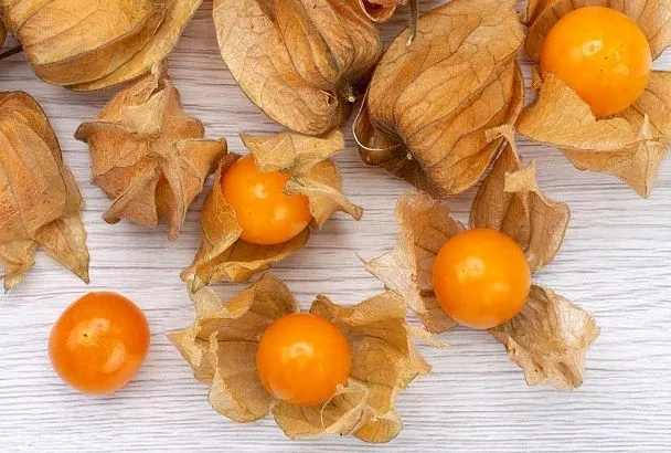 Надоели помидоры! Посадите физалис – этот неприхотливый фрукт со вкусом земляники и ананаса станет вашим любимчиком