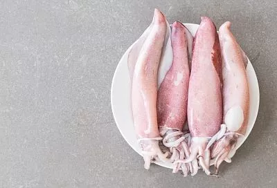 Морской гость: за что стоит полюбить кальмаров и кому их не стоит даже пробовать