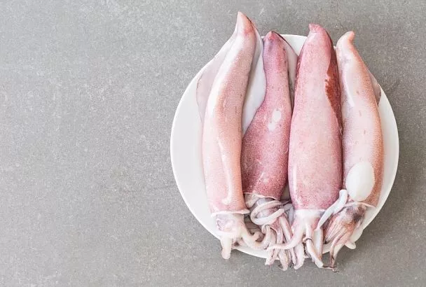 Морской гость: за что стоит полюбить кальмаров и кому их не стоит даже пробовать