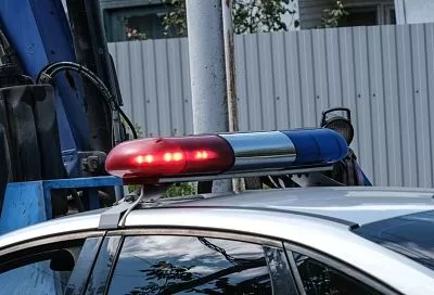 Массовая гибель собак произошла в частном приюте Крымска