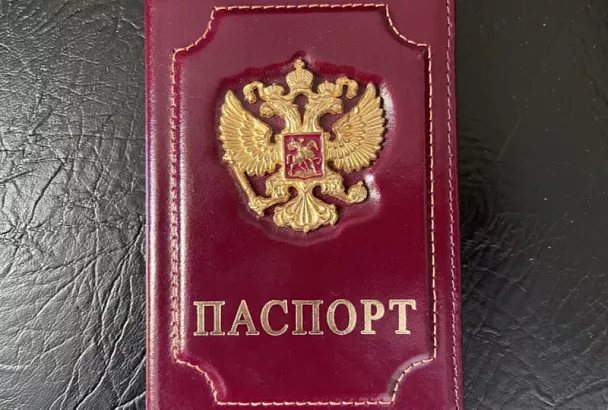 Берлин настаивает на общеевропейском запрете небиометрических загранпаспортов РФ