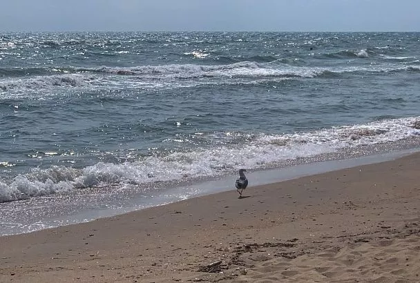 Спрос россиян на туры в Анапу вырос на 30-40%  