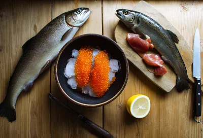 Беру форель с крошечной головой и раздутым брюшком — и с 90% вероятностью внутри 300–500 г красной икры