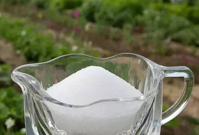 Все любят сладкое: сахарные рецепты для садовых работ