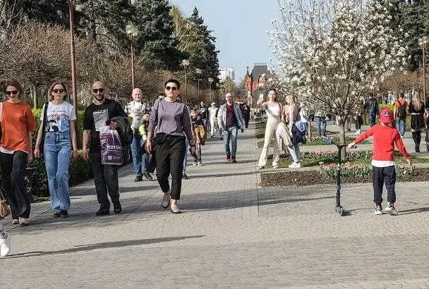 Температура продолжит рост. Синоптик – о погоде в Краснодарском крае 