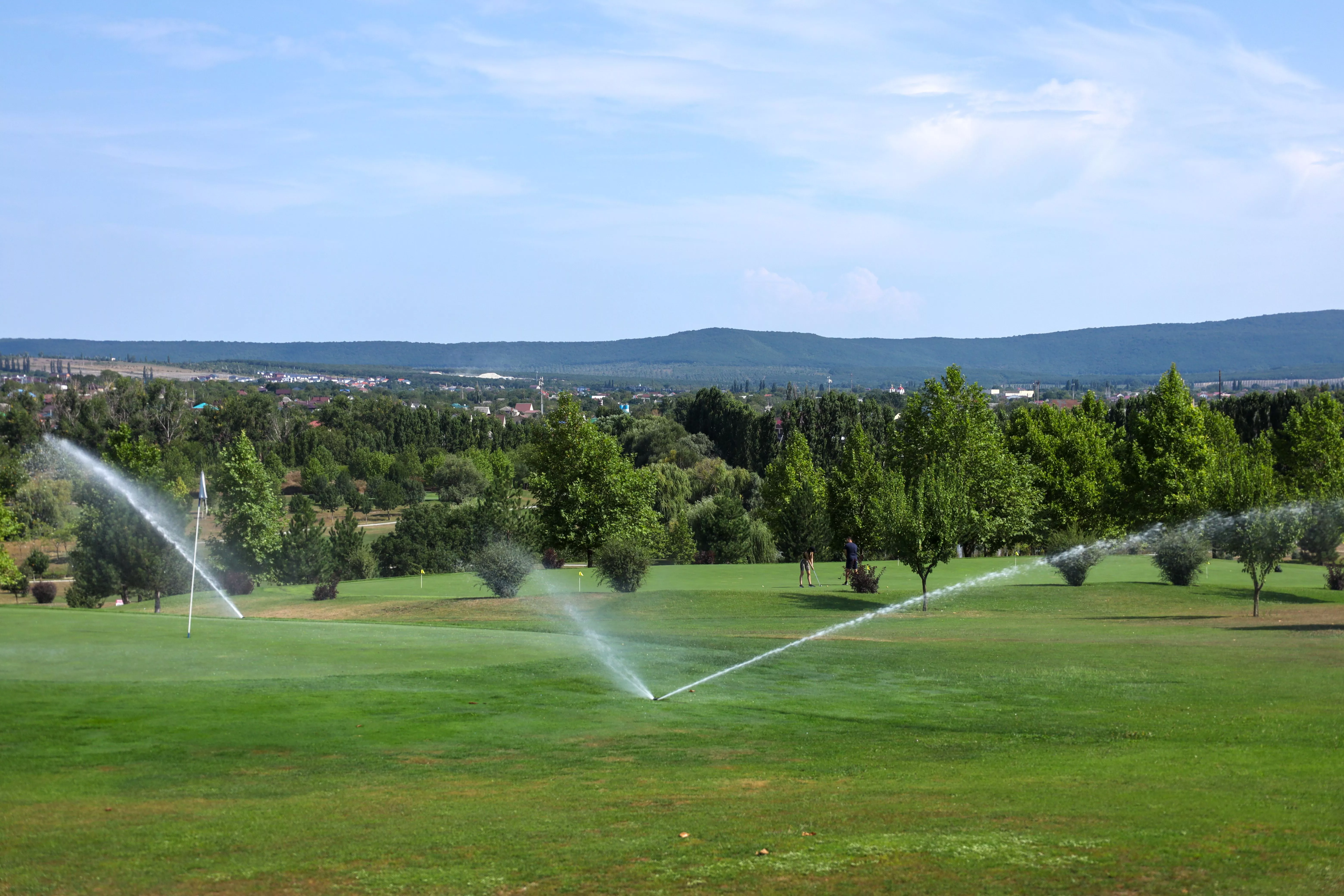 В Сириусе создают стрессоустойчивые почвы для зеленых зон