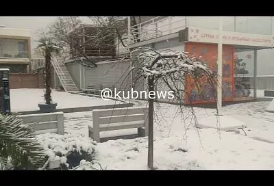 Пальмы в снегу и «парящее» море: как выглядит зимний Сочи