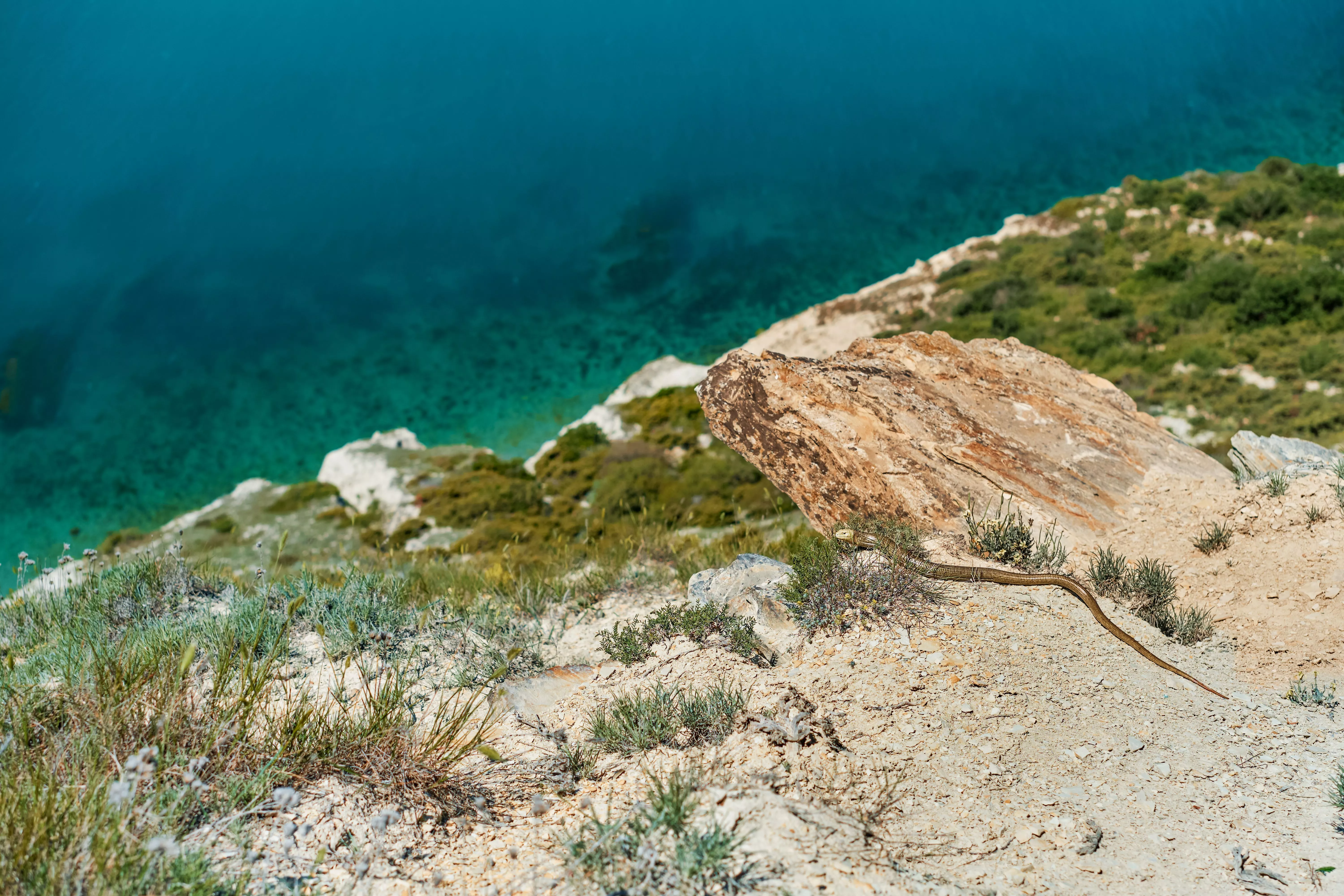 Три огромных статуи нашли на дне моря в Египте