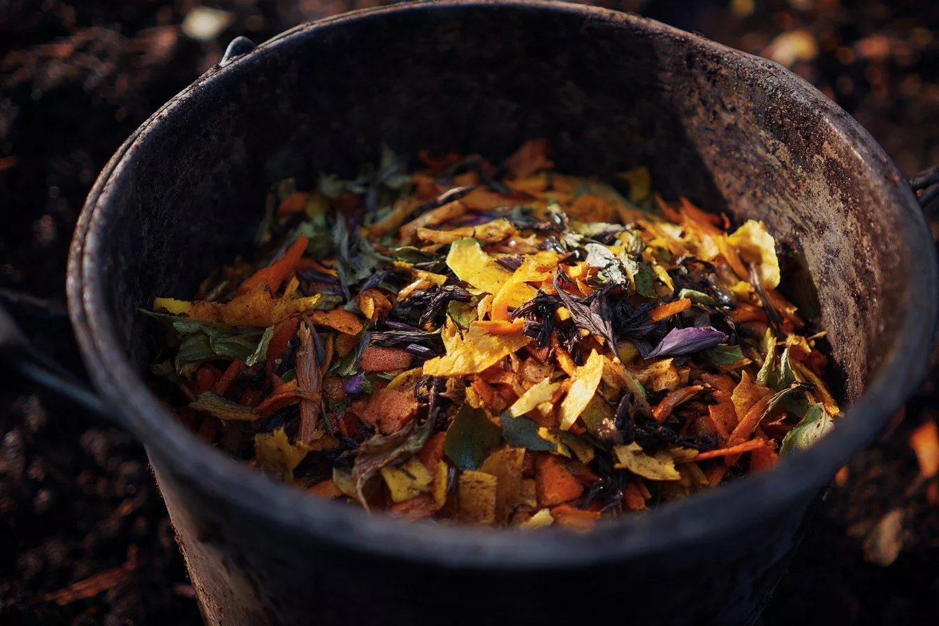 Жидкое удобрение из овощных очистков — простой способ для сада