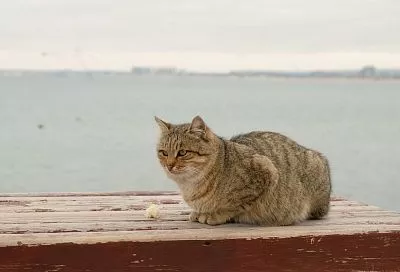 Теплый сектор циклона повысит температуру воздуха в Краснодарском крае
