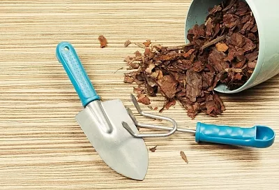 Мульчирование корой цветника: выбираем лучшее время и осваиваем технологию