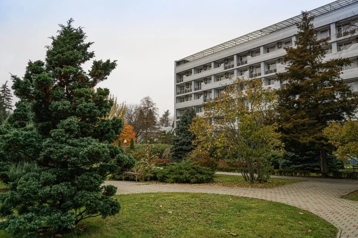 Краснодарский край возглавил топ популярных направлений для оздоровительного туризма