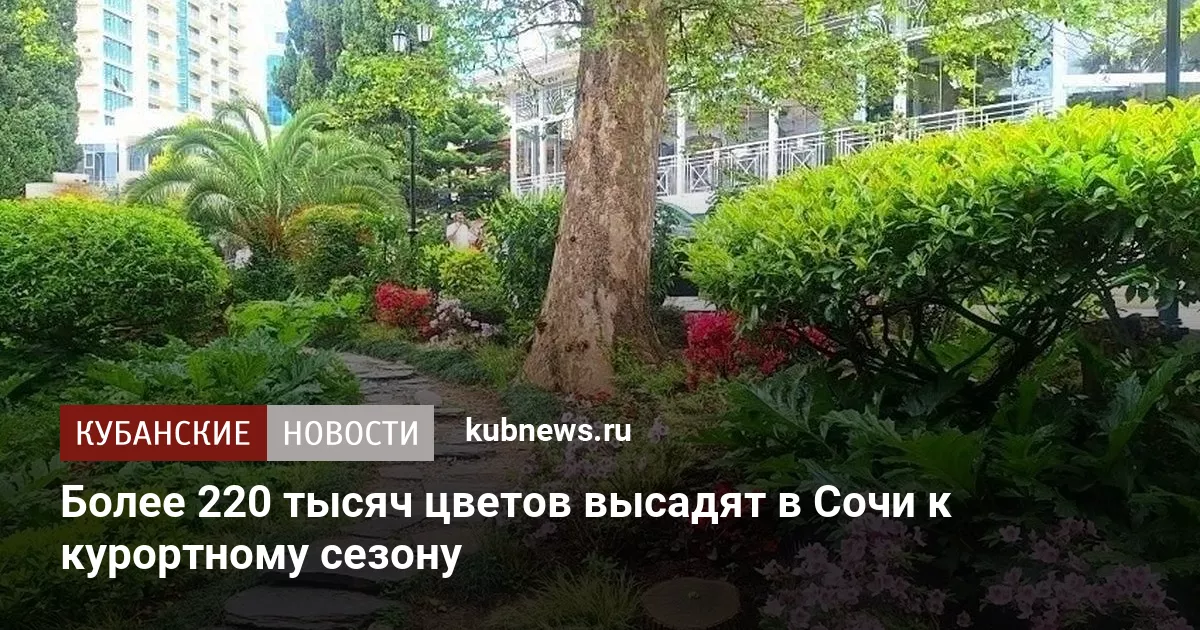Более 220 тысяч цветов высадят в Сочи к курортному сезону