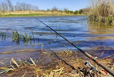 Фидер на мелководье: убойная прикормка с сухарями для поклевки каждые 10 минут!