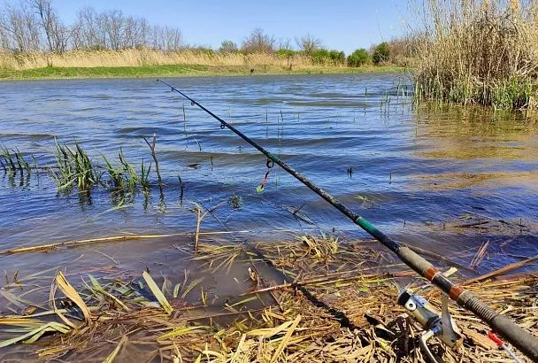 Фидер на мелководье: убойная прикормка с сухарями для поклевки каждые 10 минут!