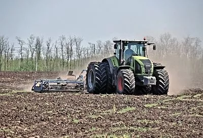 Всё идет по плану: ﻿весенняя посевная кампания 2026 года на Кубани близится к завершению