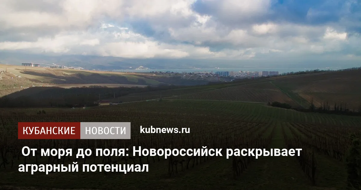 От моря до поля: Новороссийск раскрывает аграрный потенциал