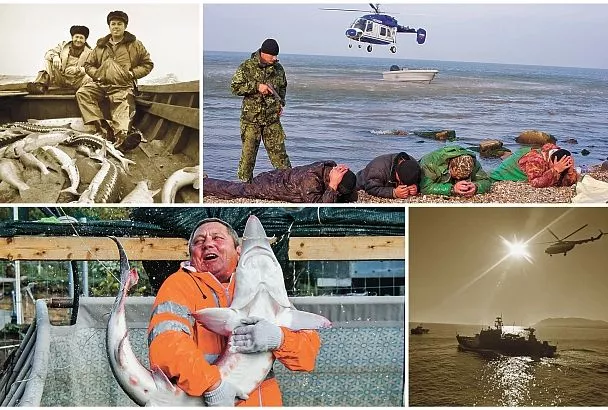 Фотолетопись Кубани: 85 лет со дня образования. Рыбный край