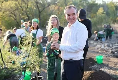 На месте пожара в Геленджике высадили саженцы пицундской сосны и открыли экологическую тропу