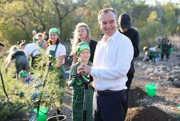 На месте пожара в Геленджике высадили саженцы пицундской сосны и открыли экологическую тропу