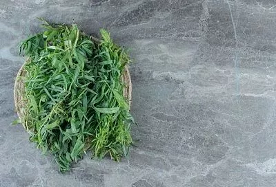 Удивительная зелень: 5 видов необычных трав, которые стоит посеять весной на своем участке, чтобы была польза и на кухне, и для аптечки 