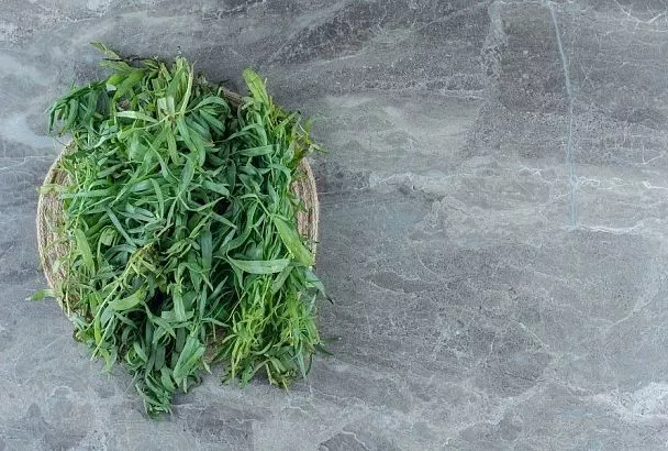 Удивительная зелень: 5 видов необычных трав, которые стоит посеять весной на своем участке, чтобы была польза и на кухне, и для аптечки 