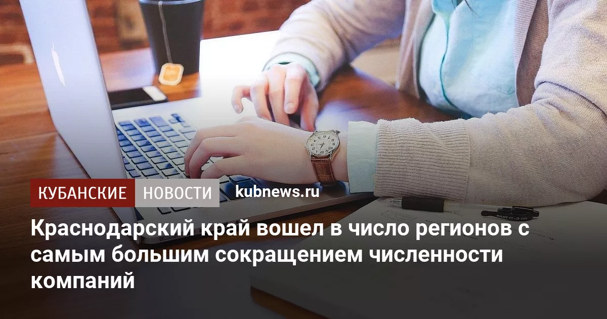 Краснодарский край вошел в число регионов с самым большим сокращением численности компаний