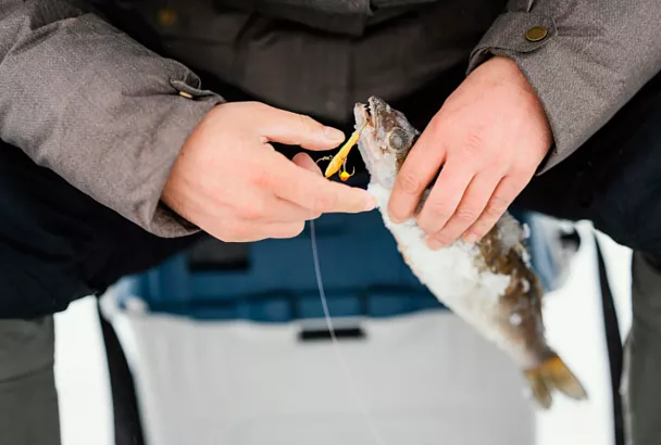 Российские рыбаки в 2025 году сократили общий вылов рыбы на 5%