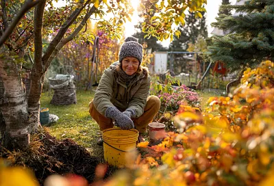Октябрь в саду: ключевые работы для подготовки к зиме 