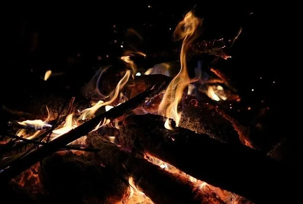 Лес загорелся под Анапой после падения обломков БПЛА 
