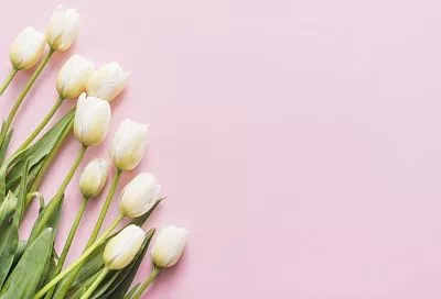 Цветущие тюльпаны будут у вашего дома, если соблюсти все условия посадки