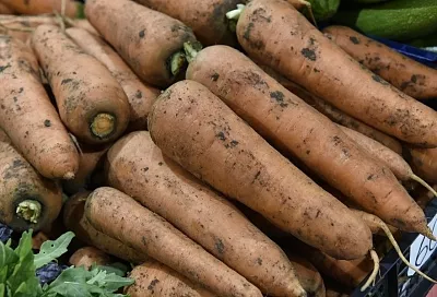 А должно быть сладко: почему горчит морковь и как с этим бороться