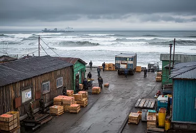 Реальная жизнь на Камчатке: работа на рыбзаводе, зарплаты и испытания