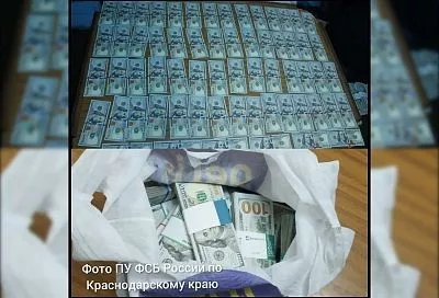 Капитан теплохода оштрафован на 2 млн рублей за контрабанду 270 тыс. долларов США в Новороссийске