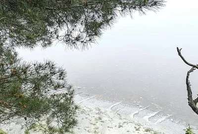 Приморский поселок в Краснодарском крае стал самым теплым местом России 25 января