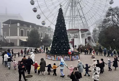 В парках Краснодара торжественно открыли новогодние елки