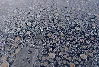 Зима огрызнется: ночной мороз до -8 градусов может ударить на Кубани