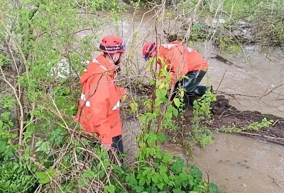 Число подтопленных в Краснодарском крае из-за ливней придомовых территорий выросло до 236