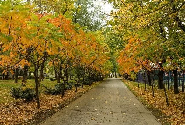 Антициклон прогреет воздух в Краснодарском крае