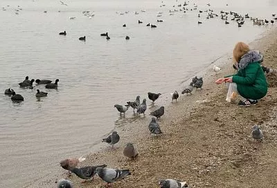 В Анапе 30 ноября обновился температурный рекорд